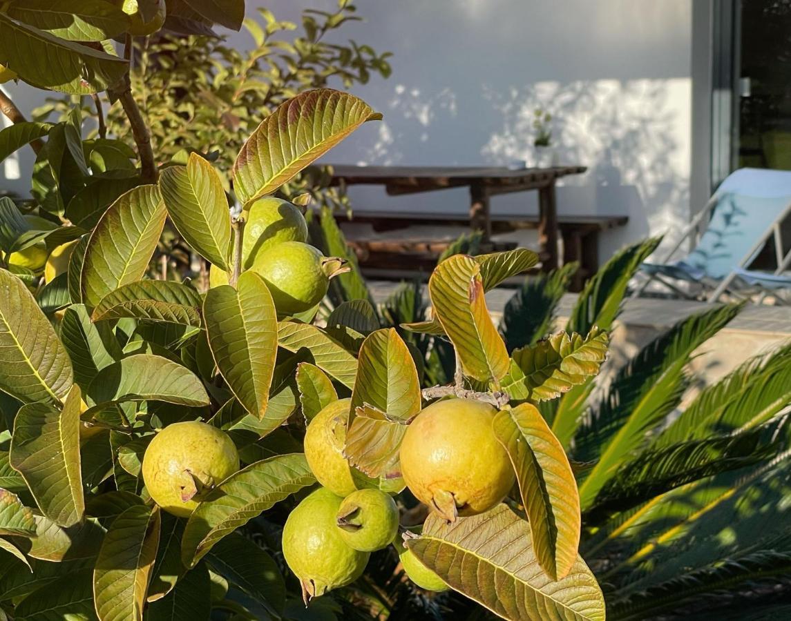 Herdade Do Kuanza ซัมบูเจย์ราโดมาร์ ภายนอก รูปภาพ