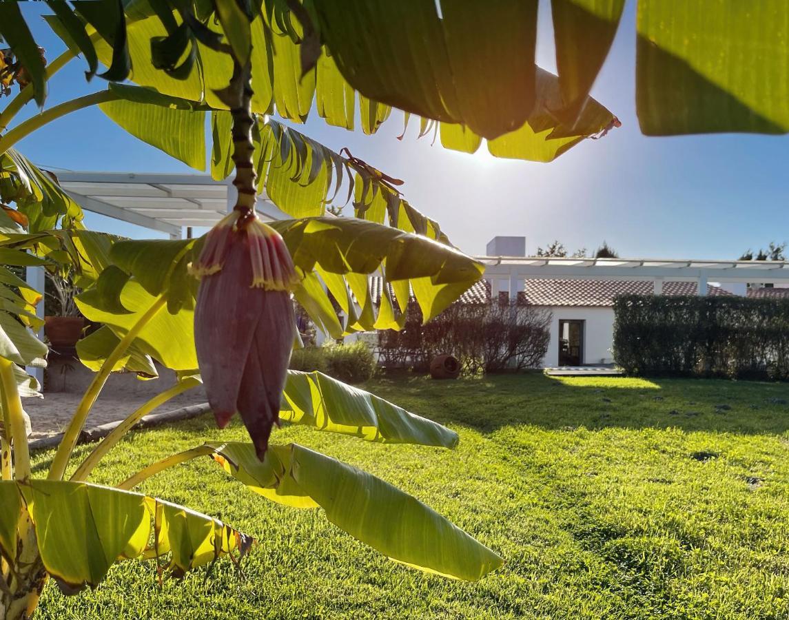 Herdade Do Kuanza ซัมบูเจย์ราโดมาร์ ภายนอก รูปภาพ